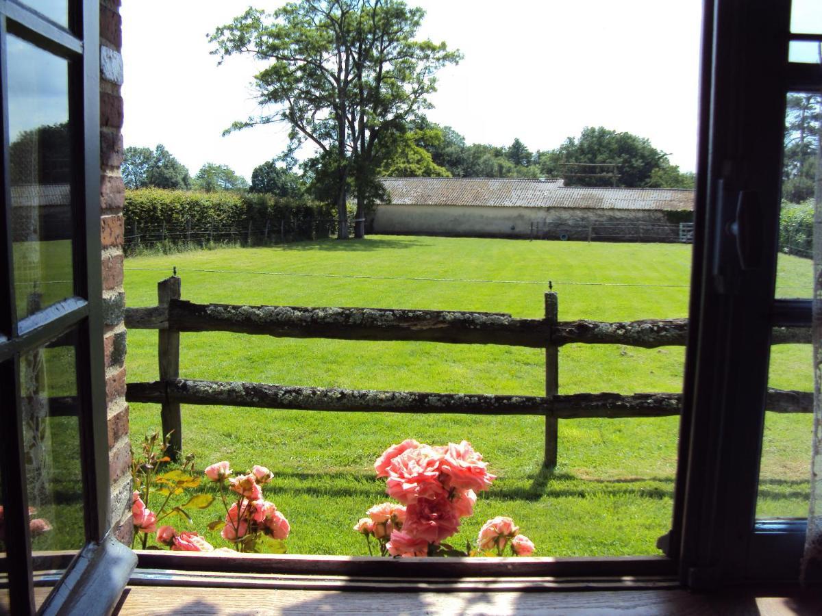 Bed and Breakfast La Pastorale La Puisaye Zewnętrze zdjęcie