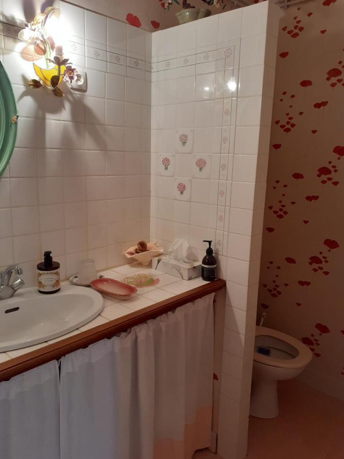 Bed and Breakfast La Pastorale La Puisaye Zewnętrze zdjęcie